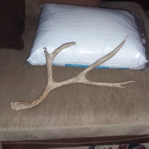 Meet your Posher, Chris - Picture 1 of 1